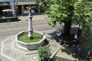 Freiburg Oberlinden grünwerk Anfrage